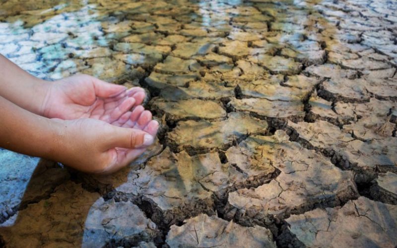 METEO & AMBIENTE – Coldiretti avverte: “Con i temporali sale il conto dei danni”. Coltivazioni ed allevamenti sono travolti da una catastrofe climatica che si prefigura addirittura peggiore di quella del 2003