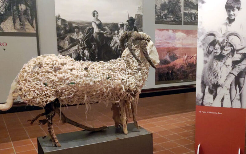 ARCE – La pecora a quattro corna stupisce i visitatori al Museo gente di Ciociaria