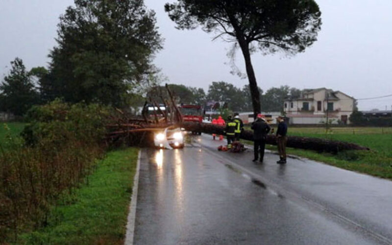 CASTROCIELO – Morirono schiacciati da un pino. Ma il processo non parte