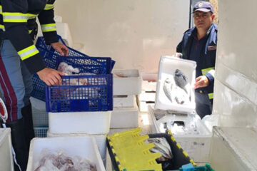 SORA – La Polizia di Stato sequestra 60 kg di pesce avariato