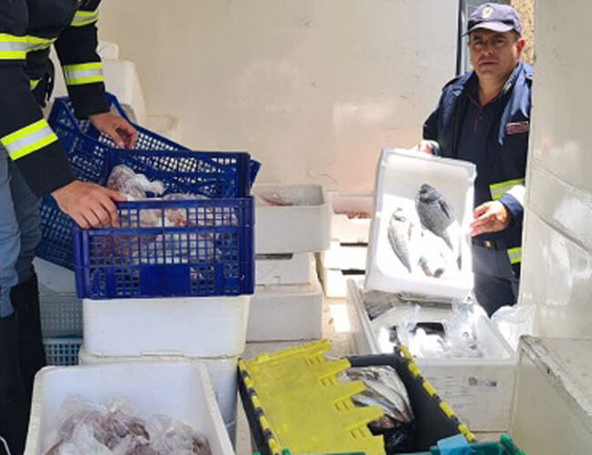 SORA – La Polizia di Stato sequestra 60 kg di pesce avariato