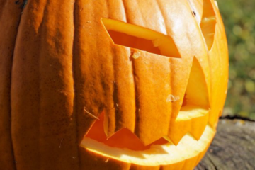 COSTUME & SOCIETA’ – Halloween, attenzione a truffe e non condividere foto di minori: il vademecum del Garante della privacy
