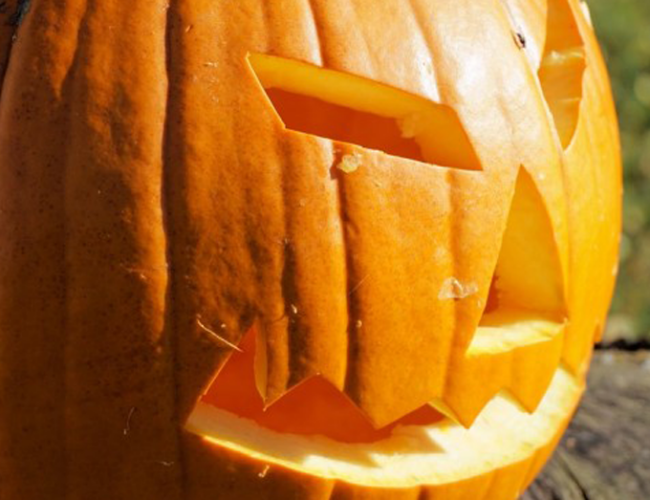 COSTUME & SOCIETA’ – Halloween, attenzione a truffe e non condividere foto di minori: il vademecum del Garante della privacy