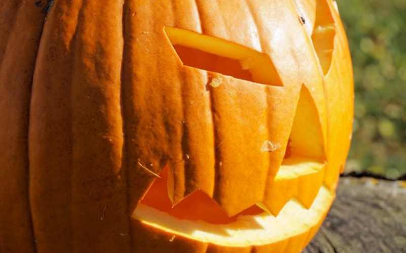 COSTUME & SOCIETA’ – Halloween, attenzione a truffe e non condividere foto di minori: il vademecum del Garante della privacy