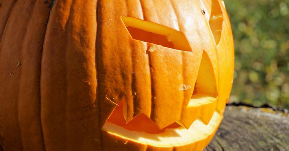 COSTUME & SOCIETA’ – Halloween, attenzione a truffe e non condividere foto di minori: il vademecum del Garante della privacy